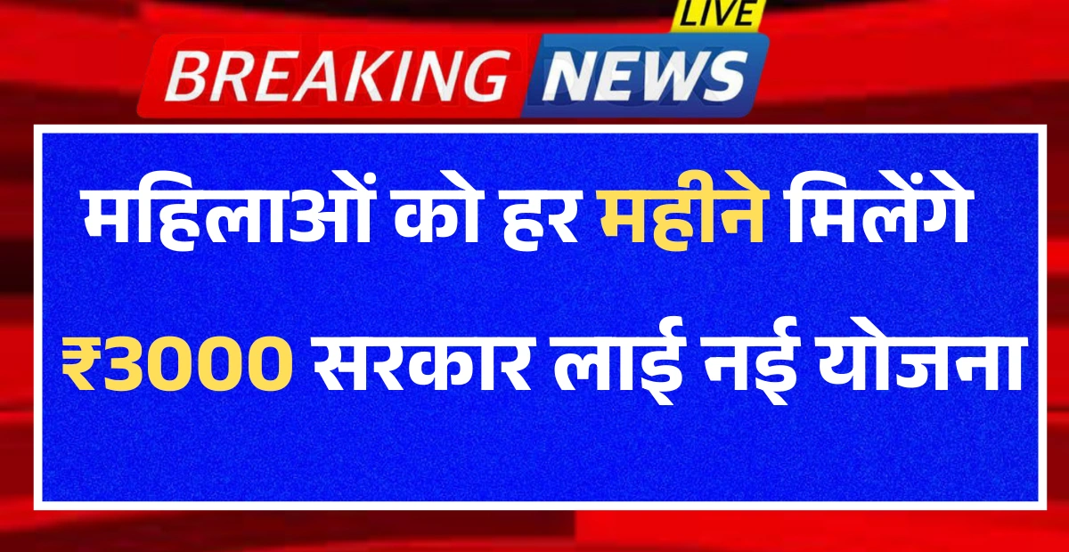 Government pencil new update